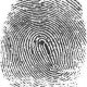 ATF fingerprints
