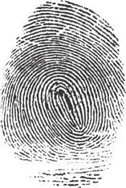ATF fingerprints